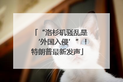 “洛杉矶骚乱是‘外国入侵’”！特朗普最新发声