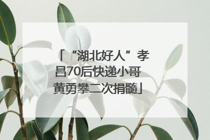 “湖北好人”孝昌70后快递小哥黄勇攀二次捐髓