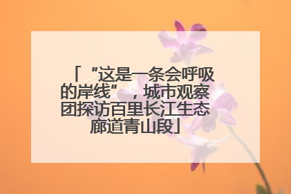 “这是一条会呼吸的岸线”，城市观察团探访百里长江生态廊道青山段