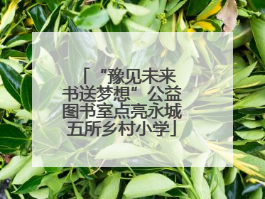 “豫见未来 书送梦想”公益图书室点亮永城五所乡村小学