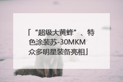 “超级大黄蜂”、特色涂装苏-30MKM 众多明星装备亮相