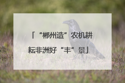 “郴州造”农机耕耘非洲好“丰”景