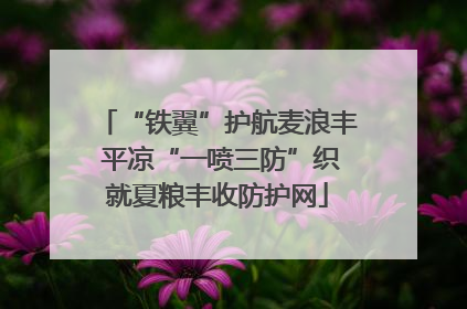 “铁翼”护航麦浪丰 平凉“一喷三防”织就夏粮丰收防护网