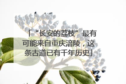 “长安的荔枝”最有可能来自重庆涪陵，这条古道已有千年历史