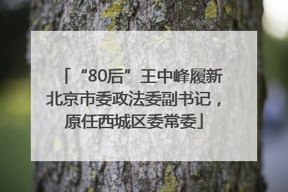 “80后”王中峰履新北京市委政法委副书记，原任西城区委常委