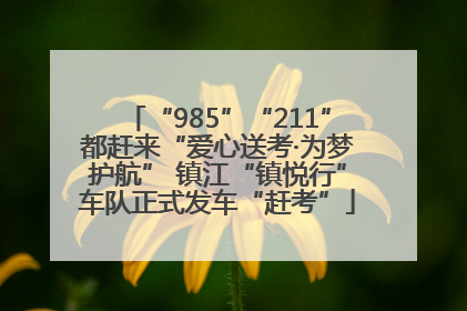“985”“211”都赶来“爱心送考·为梦护航” 镇江“镇悦行”车队正式发车“赶考”