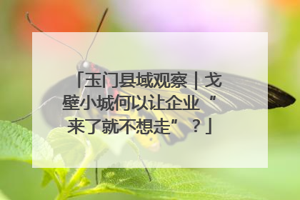玉门县域观察｜戈壁小城何以让企业“来了就不想走”？