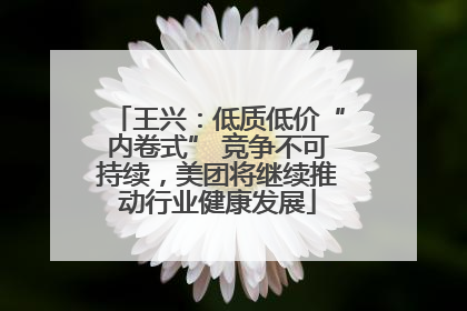 王兴：低质低价“内卷式” 竞争不可持续，美团将继续推动行业健康发展