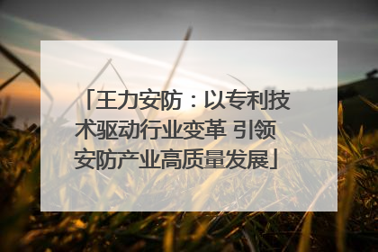 王力安防：以专利技术驱动行业变革 引领安防产业高质量发展