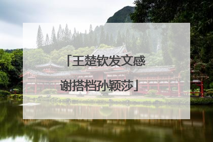 王楚钦发文感谢搭档孙颖莎