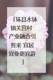 环县木钵镇关营村 产业融合引客来 宜居宜业更宜游