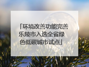 环境改善功能完善 乐陵市入选全省绿色低碳城市试点