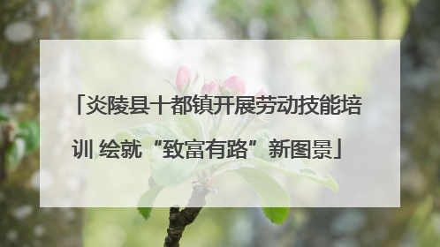 炎陵县十都镇开展劳动技能培训 绘就“致富有路”新图景