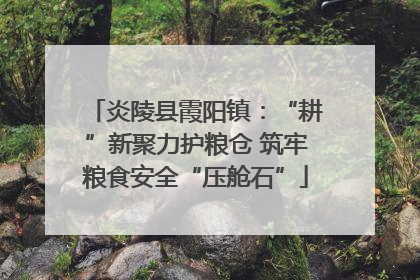 炎陵县霞阳镇：“耕”新聚力护粮仓 筑牢粮食安全“压舱石”