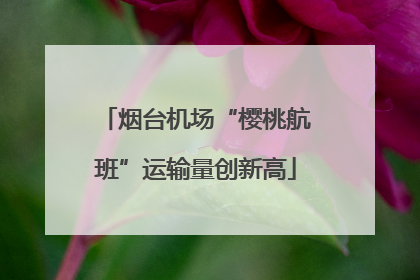 烟台机场“樱桃航班”运输量创新高