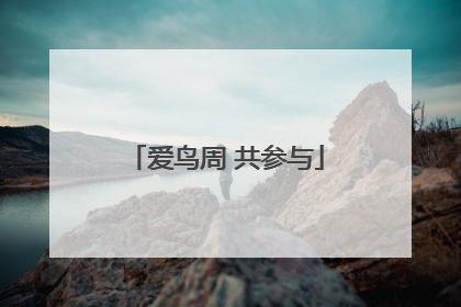 爱鸟周 共参与