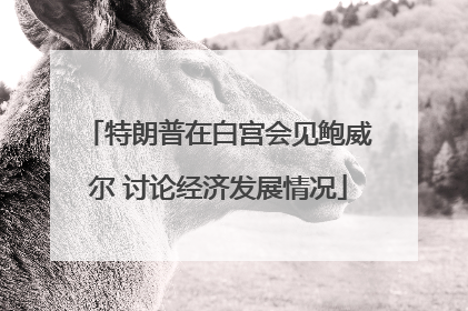 特朗普在白宫会见鲍威尔 讨论经济发展情况