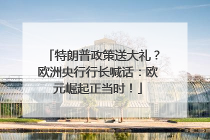 特朗普政策送大礼？欧洲央行行长喊话：欧元崛起正当时！