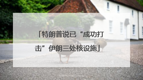 特朗普说已“成功打击”伊朗三处核设施