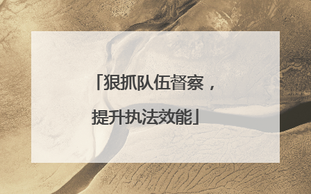 狠抓队伍督察，提升执法效能