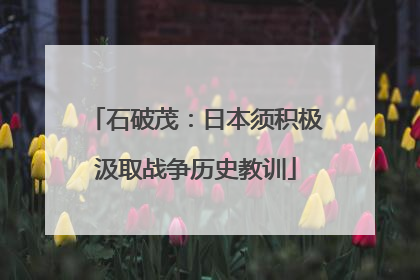 石破茂：日本须积极汲取战争历史教训