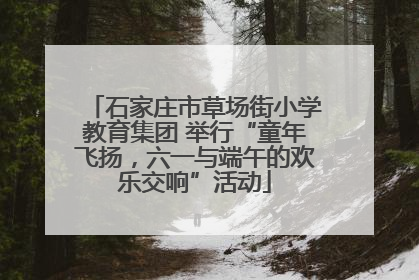 石家庄市草场街小学教育集团 举行“童年飞扬，六一与端午的欢乐交响”活动