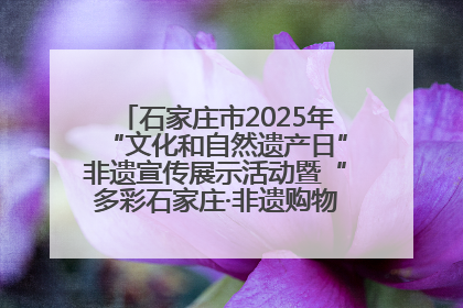 石家庄市2025年“文化和自然遗产日”非遗宣传展示活动暨“多彩石家庄·非遗购物节”倒计时1天