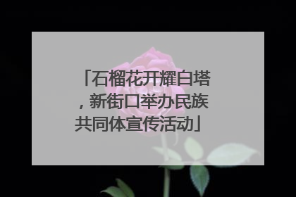 石榴花开耀白塔，新街口举办民族共同体宣传活动