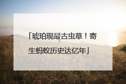 琥珀现最古虫草！寄生蚂蚁历史达亿年