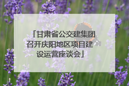 甘肃省公交建集团召开庆阳地区项目建设运营座谈会