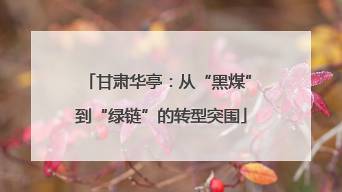 甘肃华亭：从“黑煤”到“绿链”的转型突围