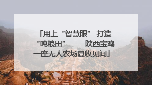 用上“智慧眼” 打造“吨粮田”——陕西宝鸡一座无人农场夏收见闻