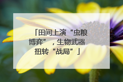 田间上演“虫粮博弈”，生物武器扭转“战局”