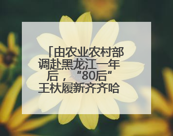 由农业农村部调赴黑龙江一年后，“80后”王杕履新齐齐哈尔副市长