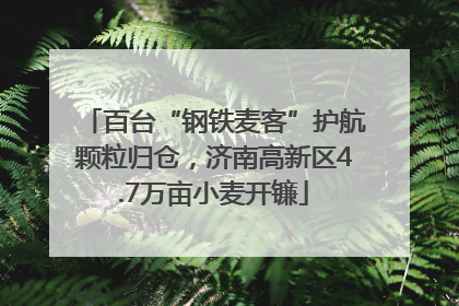 百台“钢铁麦客”护航颗粒归仓，济南高新区4.7万亩小麦开镰