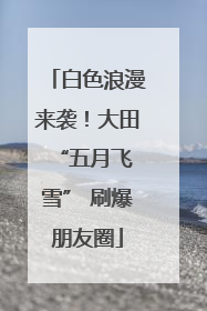 白色浪漫来袭！大田 “五月飞雪” 刷爆朋友圈