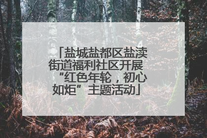 盐城盐都区盐渎街道福利社区开展“红色年轮，初心如炬”主题活动