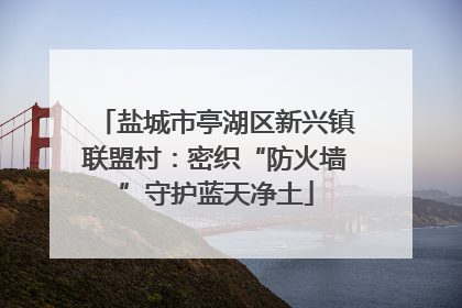 盐城市亭湖区新兴镇联盟村：密织“防火墙”守护蓝天净土