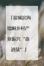 盐城滨海擂响乡村产业振兴“奋进鼓”