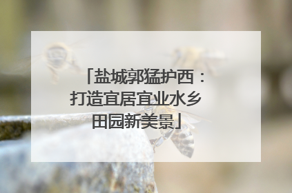 盐城郭猛护西：打造宜居宜业水乡田园新美景