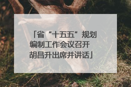 省“十五五”规划编制工作会议召开 胡昌升出席并讲话