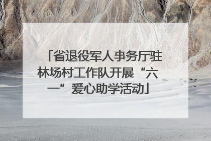 省退役军人事务厅驻林场村工作队开展“六一”爱心助学活动