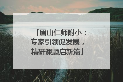 眉山仁师附小：专家引领促发展，精研课题启新篇