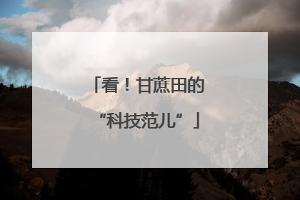 看！甘蔗田的“科技范儿”