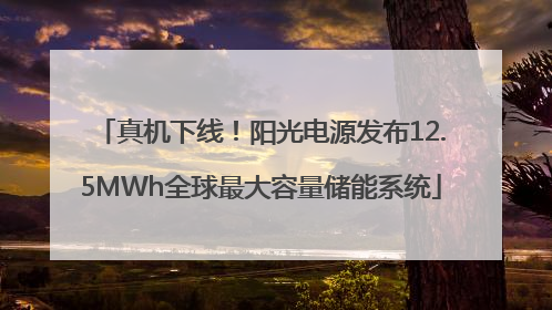 真机下线！阳光电源发布12.5MWh全球最大容量储能系统