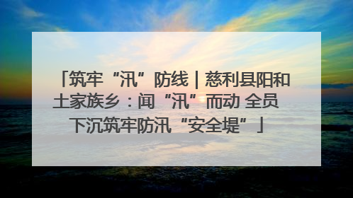 筑牢“汛”防线｜慈利县阳和土家族乡：闻“汛”而动 全员下沉筑牢防汛“安全堤”