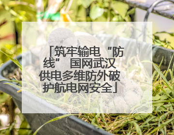 筑牢输电“防线” 国网武汉供电多维防外破护航电网安全