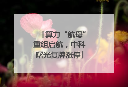 算力“航母”重组启航，中科曙光复牌涨停