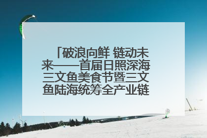 破浪向鲜 链动未来——首届日照深海三文鱼美食节暨三文鱼陆海统筹全产业链发展会议嘉宾访谈