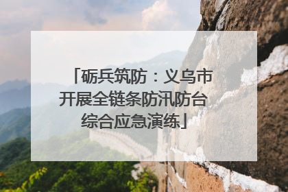 砺兵筑防：义乌市开展全链条防汛防台综合应急演练